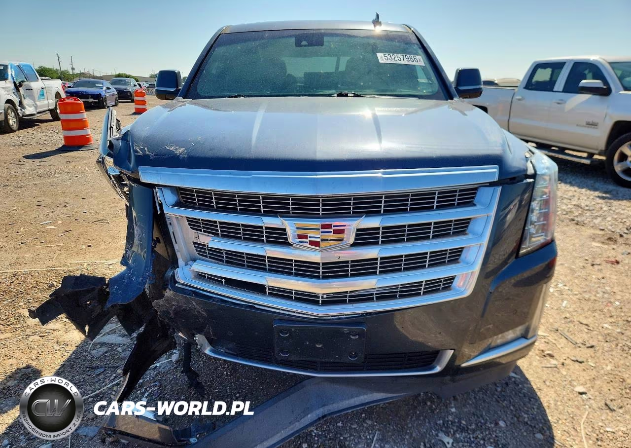 2019 Cadillac Escalade Luxury VIN:1GYS3BKJ7KR191555 - 5