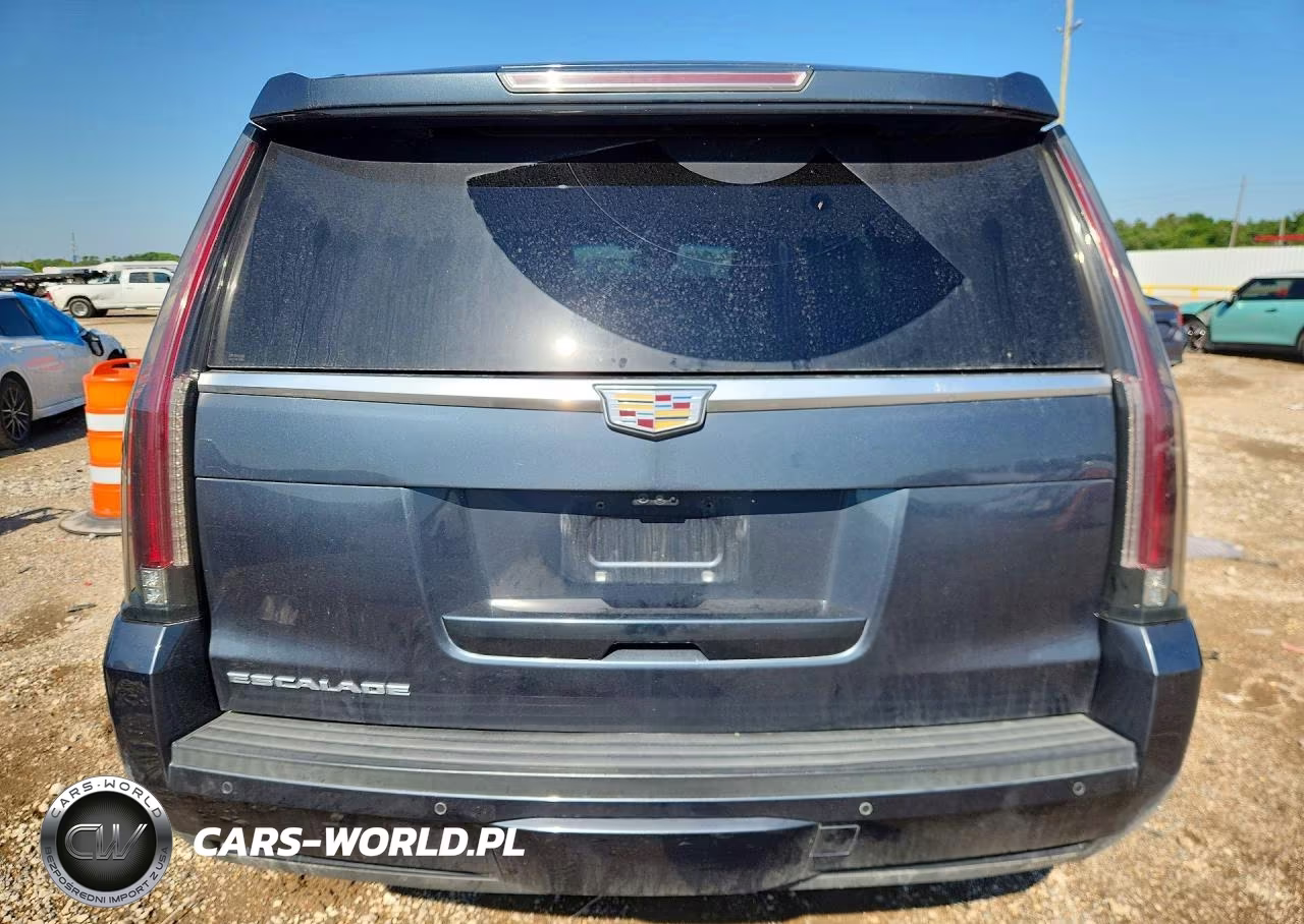 2019 Cadillac Escalade Luxury VIN:1GYS3BKJ7KR191555 - 6