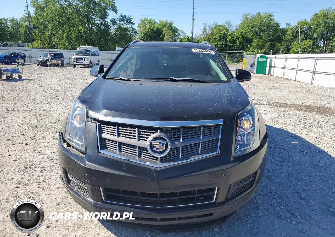 2010 Cadillac Srx Luxury Collection VIN:3GYFNDEY4AS611087 - 5