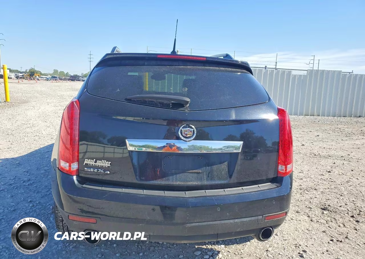 2010 Cadillac Srx Luxury Collection VIN:3GYFNDEY4AS611087 - 6