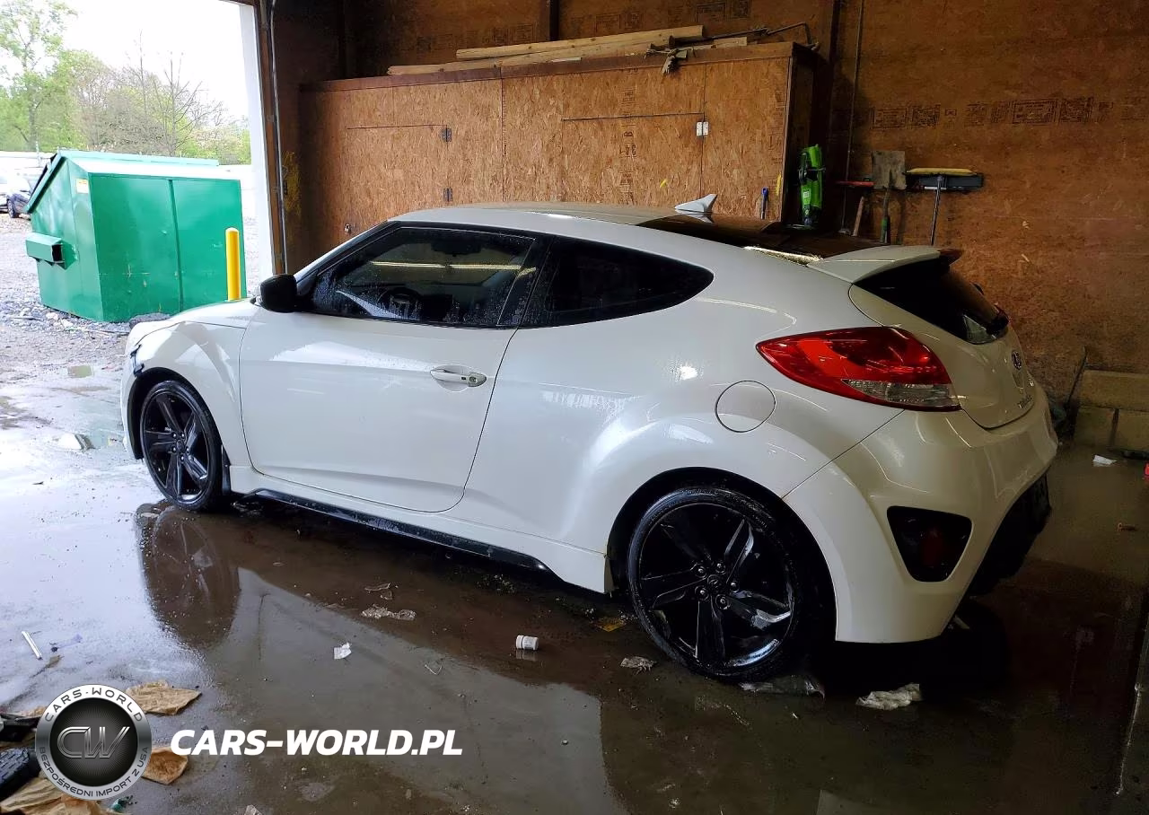 2014 Hyundai Veloster Turbo VIN:KMHTC6AE5EU193064 - 2