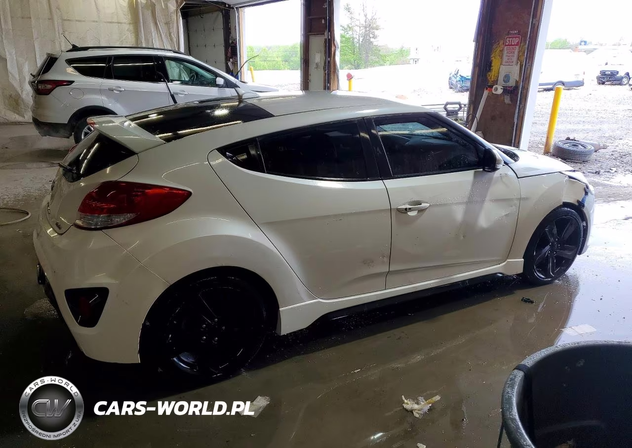 2014 Hyundai Veloster Turbo VIN:KMHTC6AE5EU193064 - 3