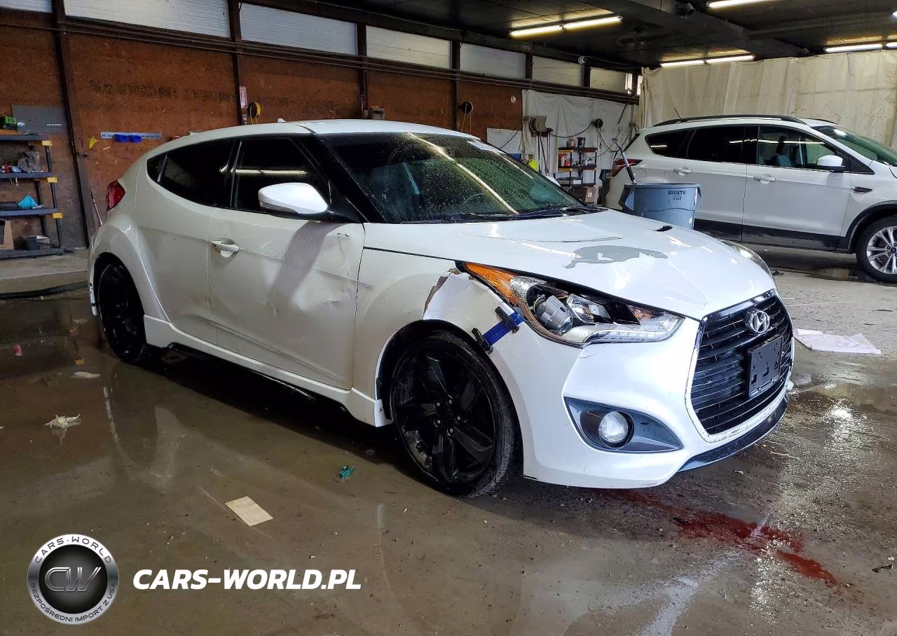 2014 Hyundai Veloster Turbo VIN:KMHTC6AE5EU193064 - 4