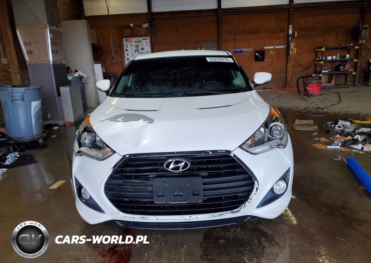 2014 Hyundai Veloster Turbo VIN:KMHTC6AE5EU193064 - 5