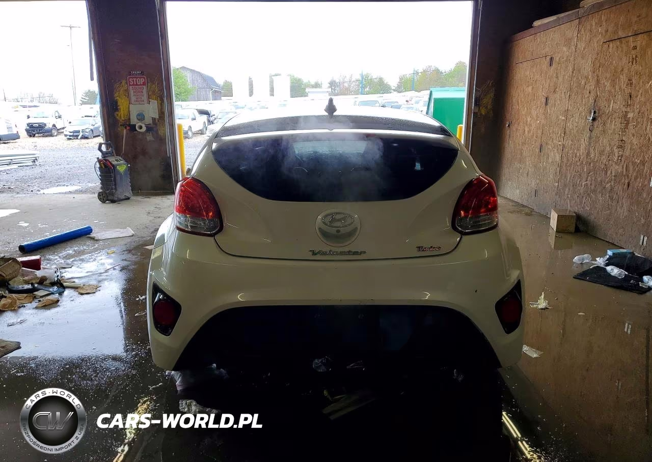 2014 Hyundai Veloster Turbo VIN:KMHTC6AE5EU193064 - 6