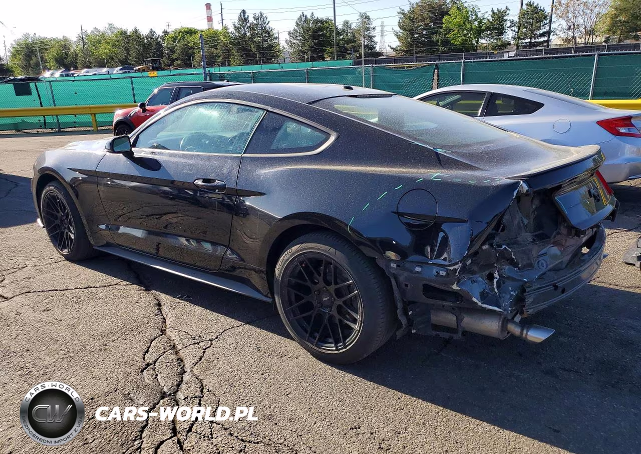 2019 Ford Mustang VIN:1FA6P8TH1K5195057 - 2