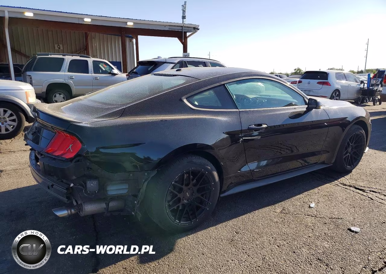 2019 Ford Mustang VIN:1FA6P8TH1K5195057 - 3