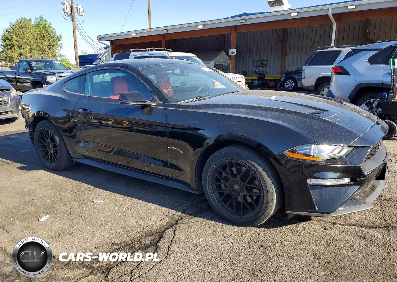 2019 Ford Mustang VIN:1FA6P8TH1K5195057 - 4