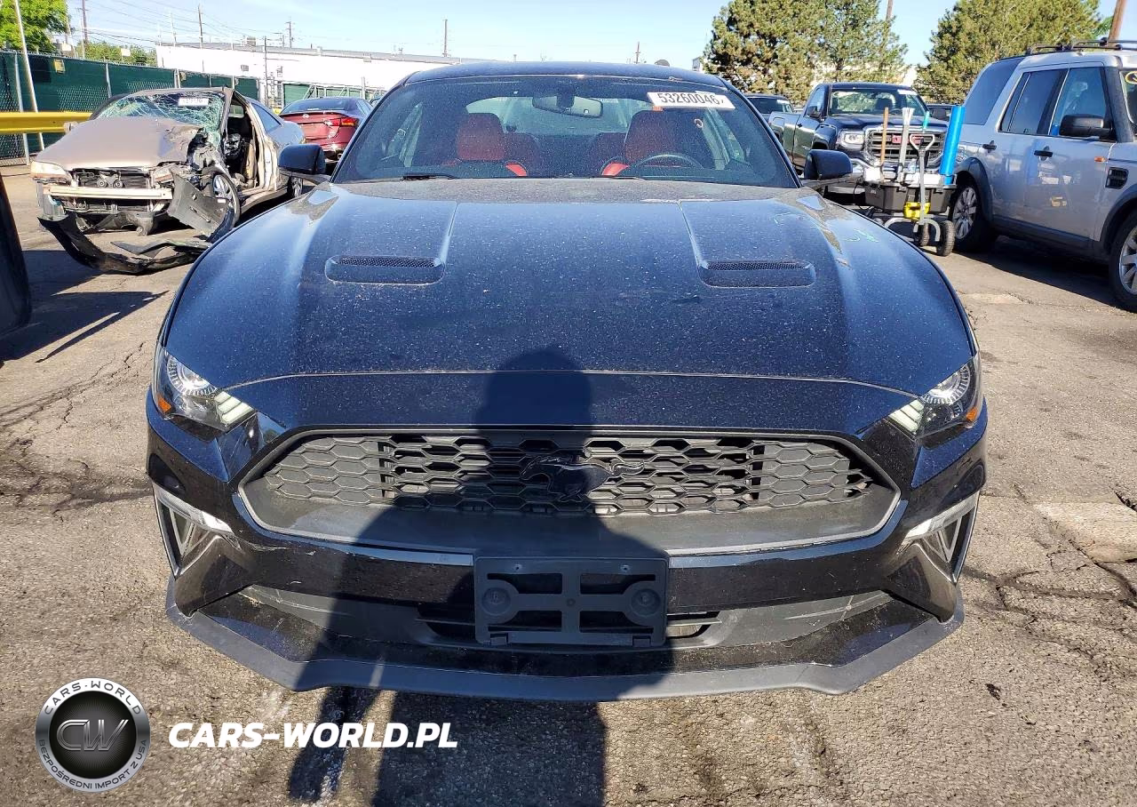 2019 Ford Mustang VIN:1FA6P8TH1K5195057 - 5
