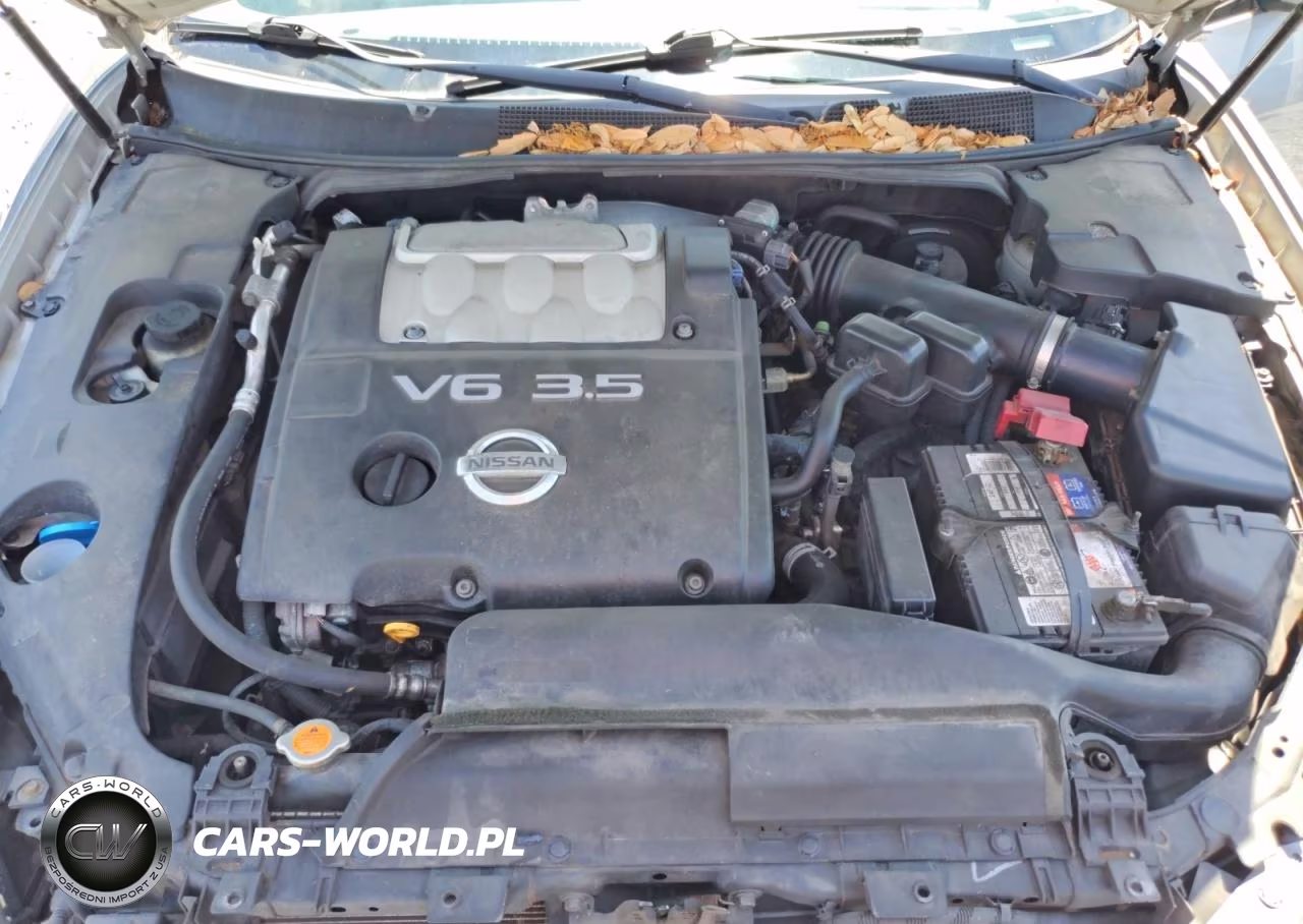 2007 Nissan Maxima 3.5 Se VIN:1N4BA41EX7C861014 - 11