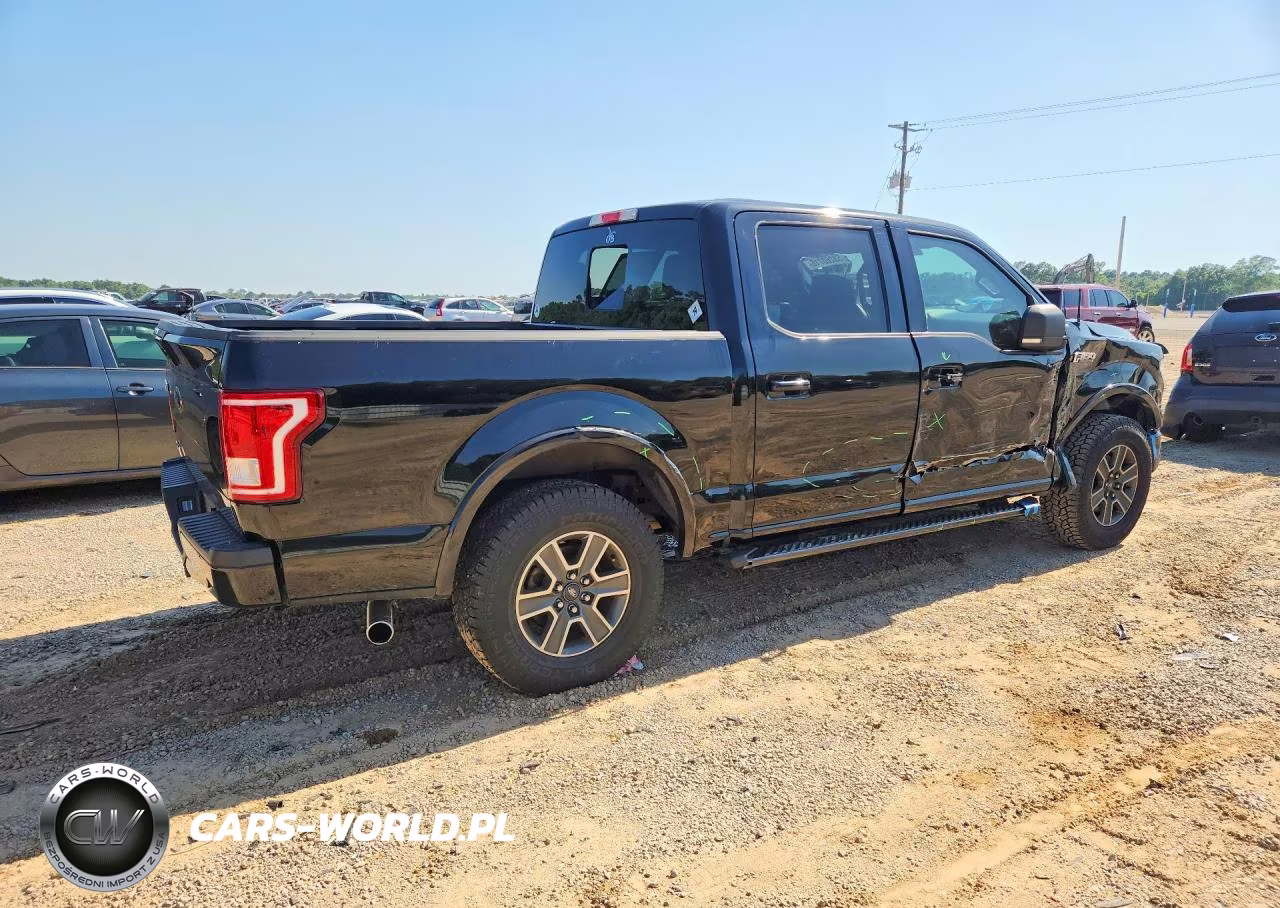 2016 Ford F150 Supercrew VIN:1FTEW1CP3GKD62972 - 3