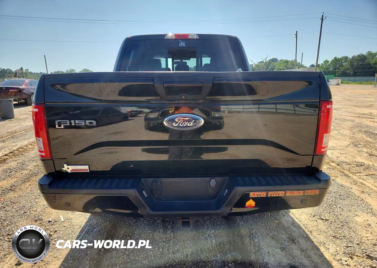 2016 Ford F150 Supercrew VIN:1FTEW1CP3GKD62972 - 6