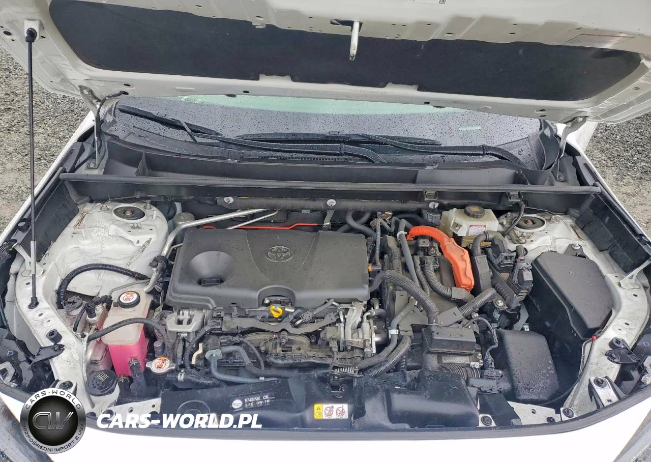 2019 Toyota Rav4 Le VIN:JTMMWRFV2KD023945 - 12