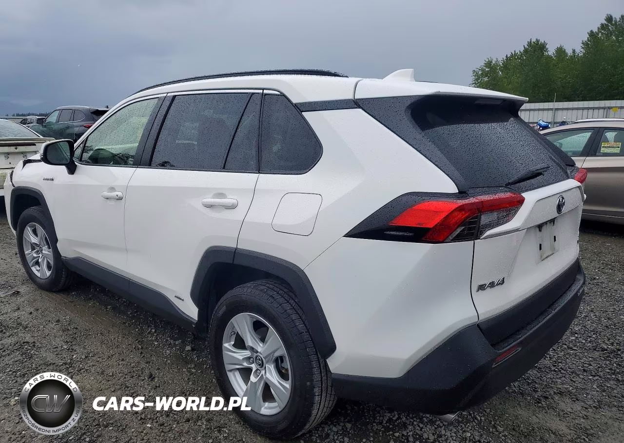 2019 Toyota Rav4 Le VIN:JTMMWRFV2KD023945 - 2