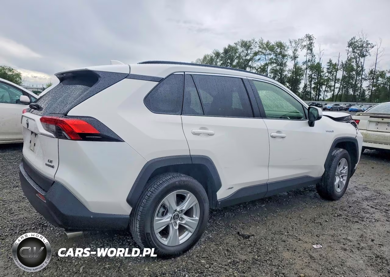2019 Toyota Rav4 Le VIN:JTMMWRFV2KD023945 - 3