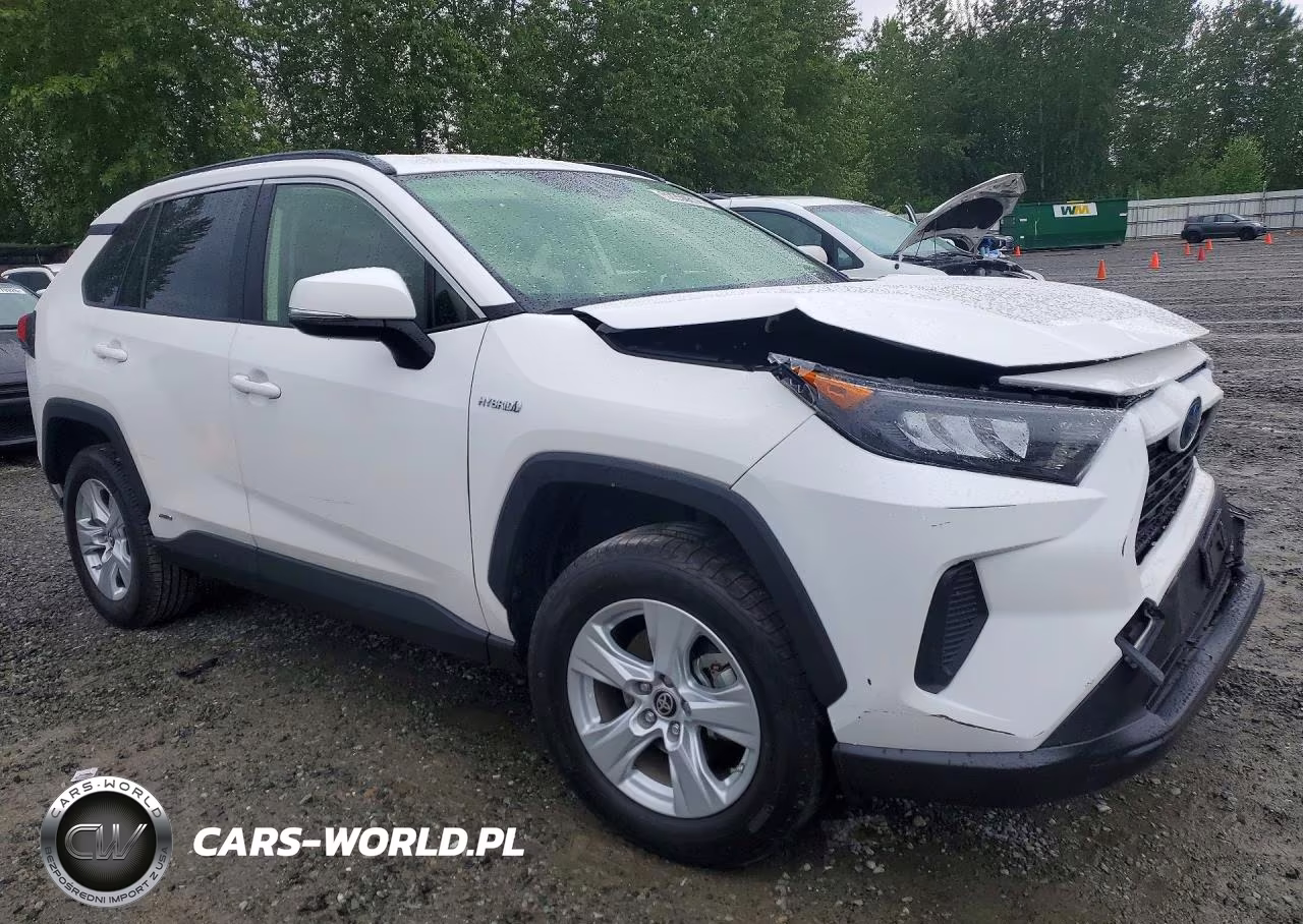 2019 Toyota Rav4 Le VIN:JTMMWRFV2KD023945 - 4