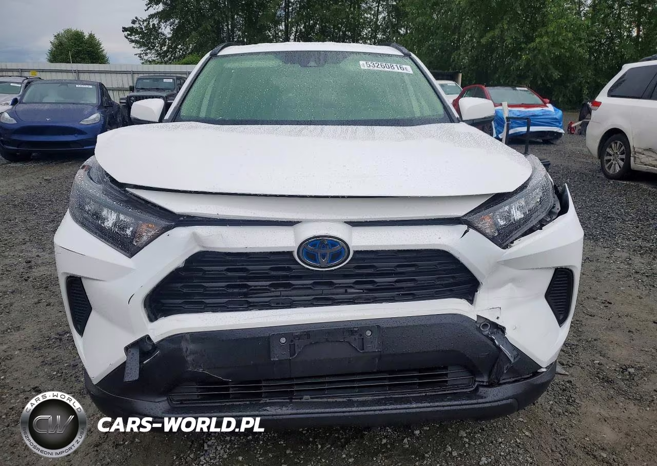 2019 Toyota Rav4 Le VIN:JTMMWRFV2KD023945 - 5