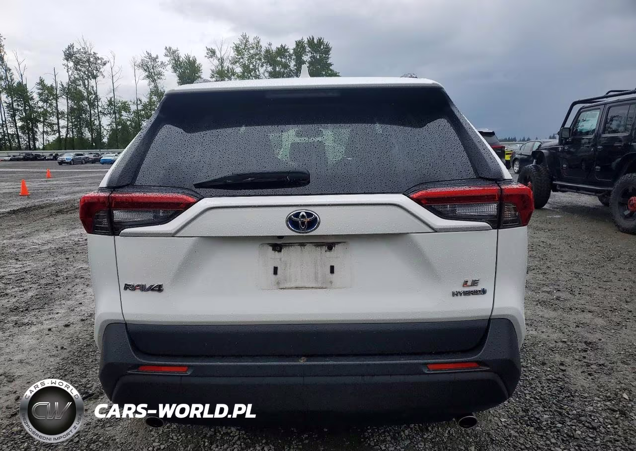 2019 Toyota Rav4 Le VIN:JTMMWRFV2KD023945 - 6