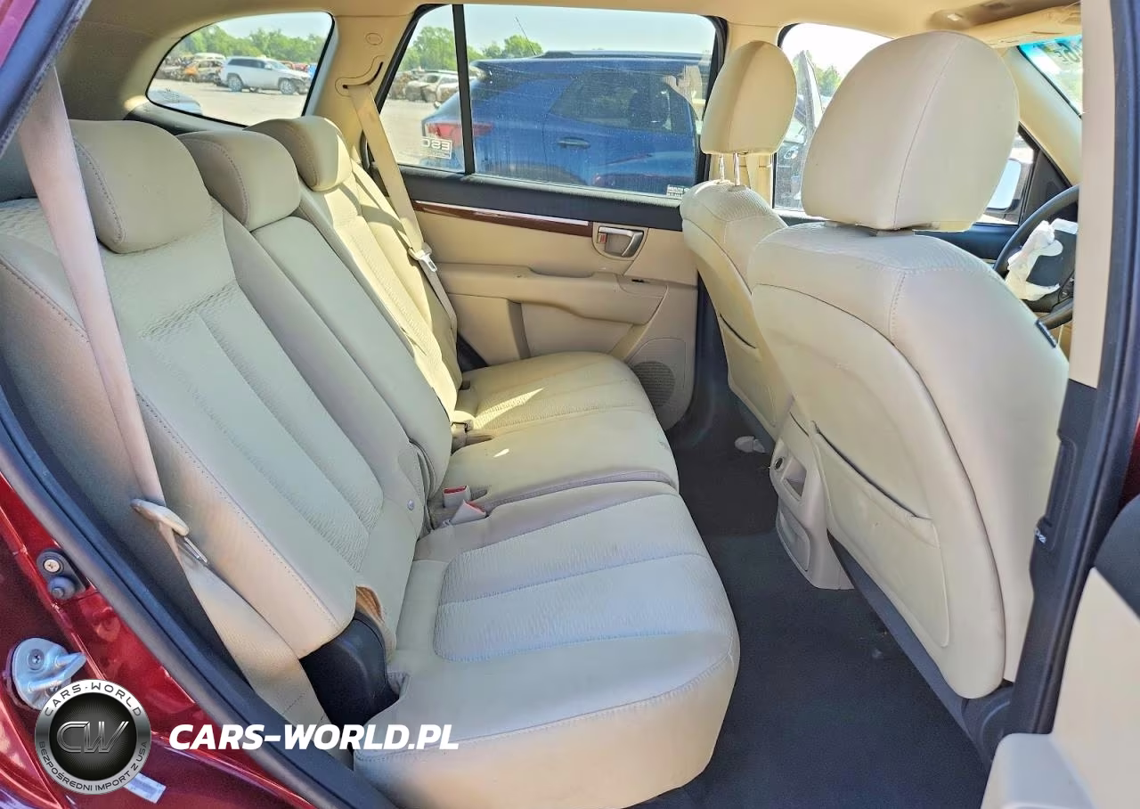 2009 Hyundai Santa Fe VIN:5NMSG13D19H248800 - 11