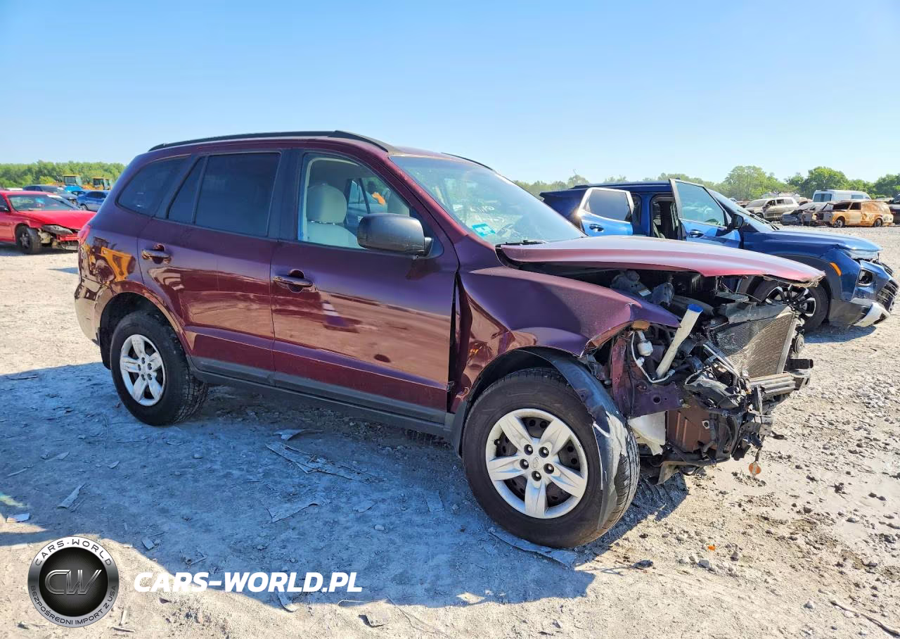 2009 Hyundai Santa Fe VIN:5NMSG13D19H248800 - 4