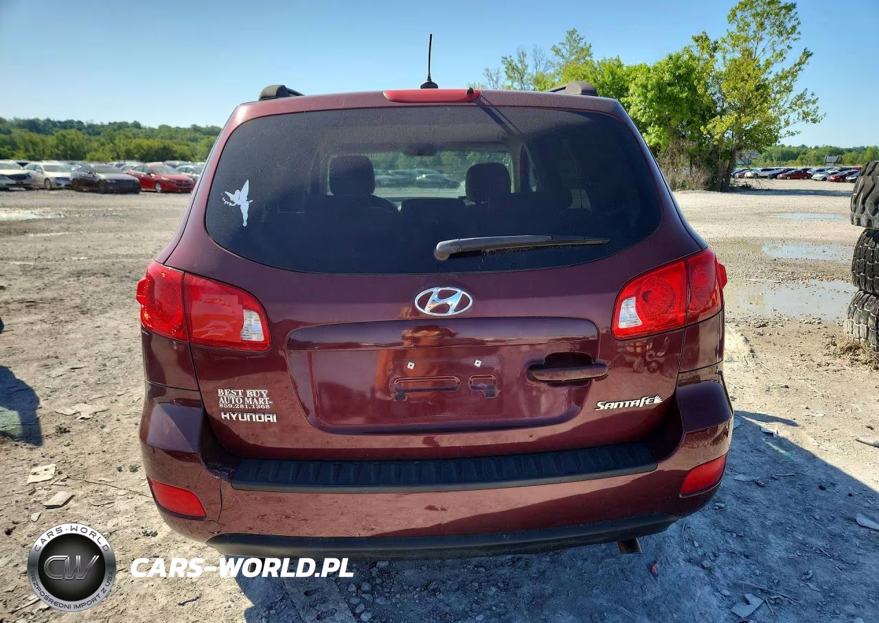 2009 Hyundai Santa Fe VIN:5NMSG13D19H248800 - 6