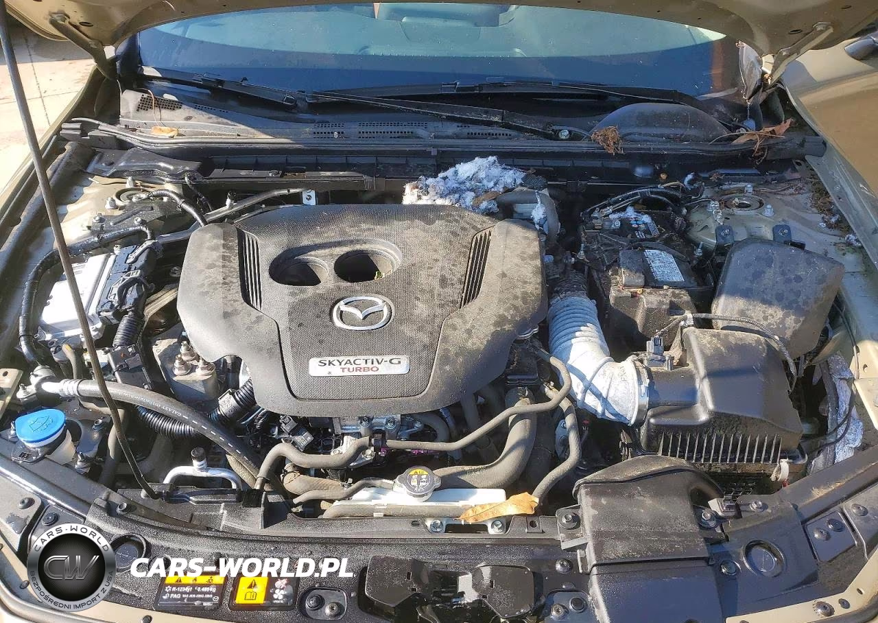 2024 Mazda 3 Carbon Turbo VIN:3MZBPBXY4RM406897 - 11