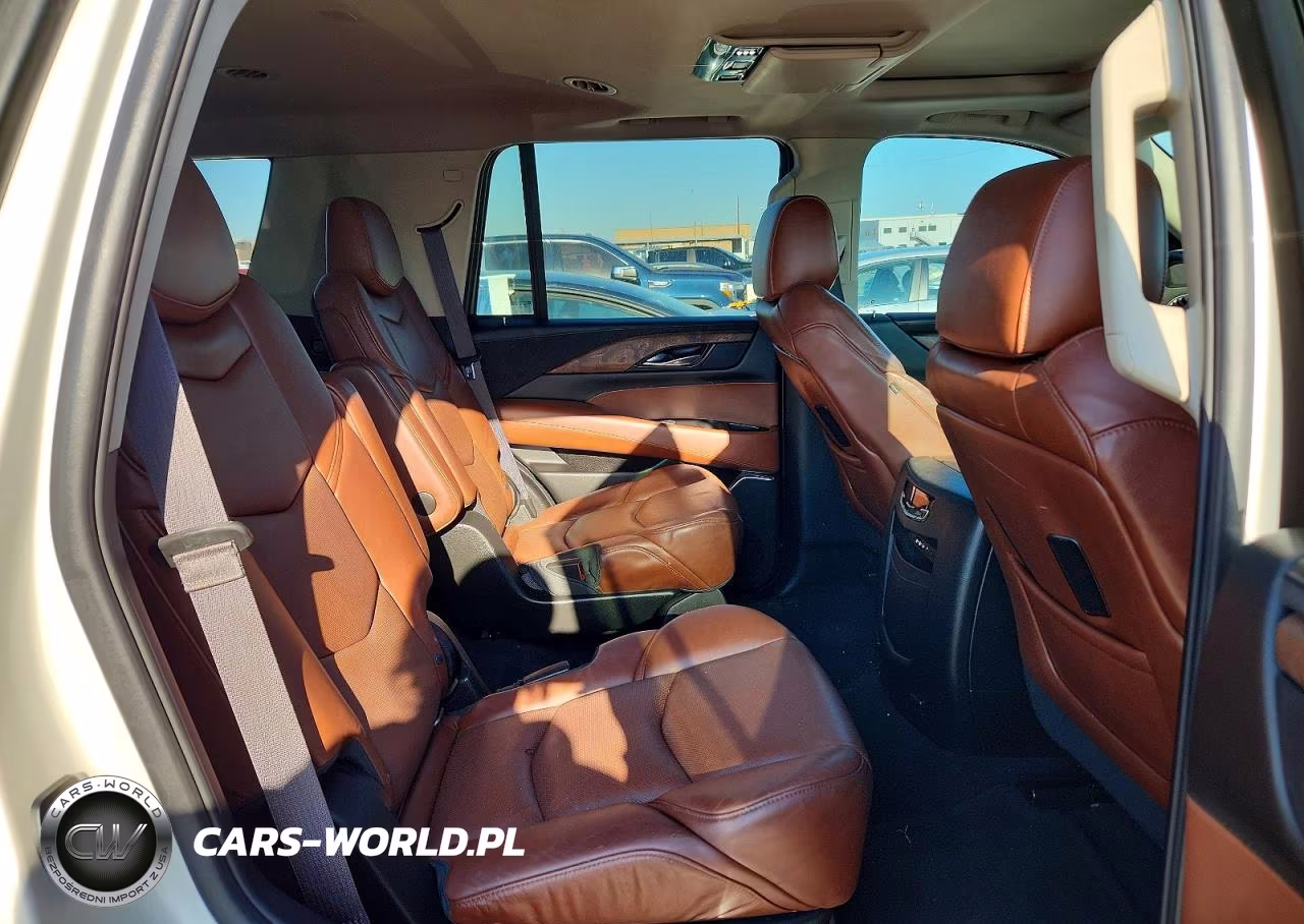 2015 Cadillac Escalade Premium VIN:1GYS4NKJ5FR626903 - 10
