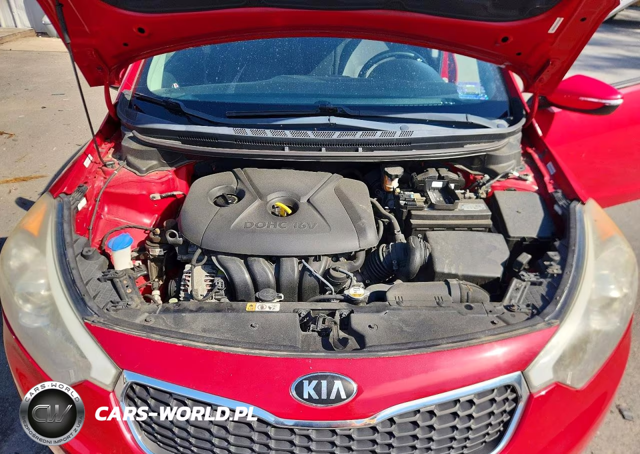 2014 Kia Forte Lx VIN:KNAFX4A67E5223711 - 11