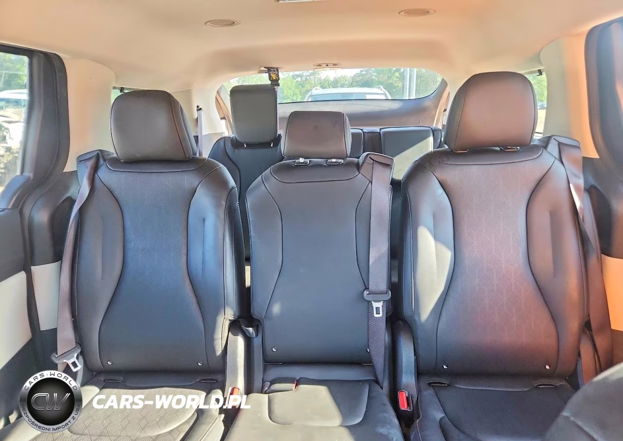 2024 Kia Carnival Ex VIN:KNDNC5H35R6342823 - 10