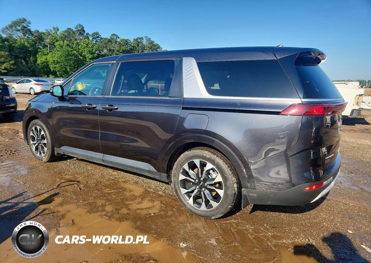 2024 Kia Carnival Ex VIN:KNDNC5H35R6342823 - 2