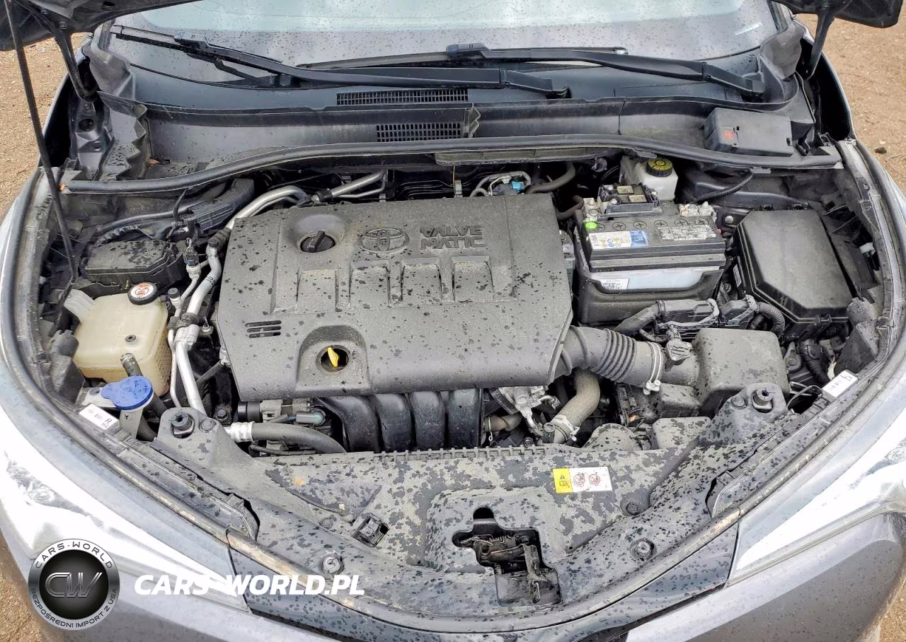 2019 Toyota C-Hr Xle VIN:NMTKHMBX4KR088326 - 11