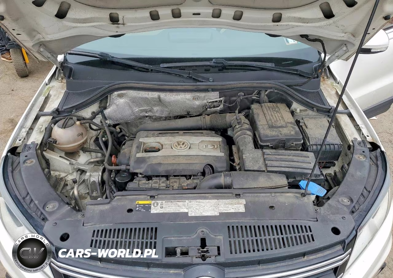 2013 Volkswagen Tiguan S VIN:WVGBV3AX9DW607830 - 12