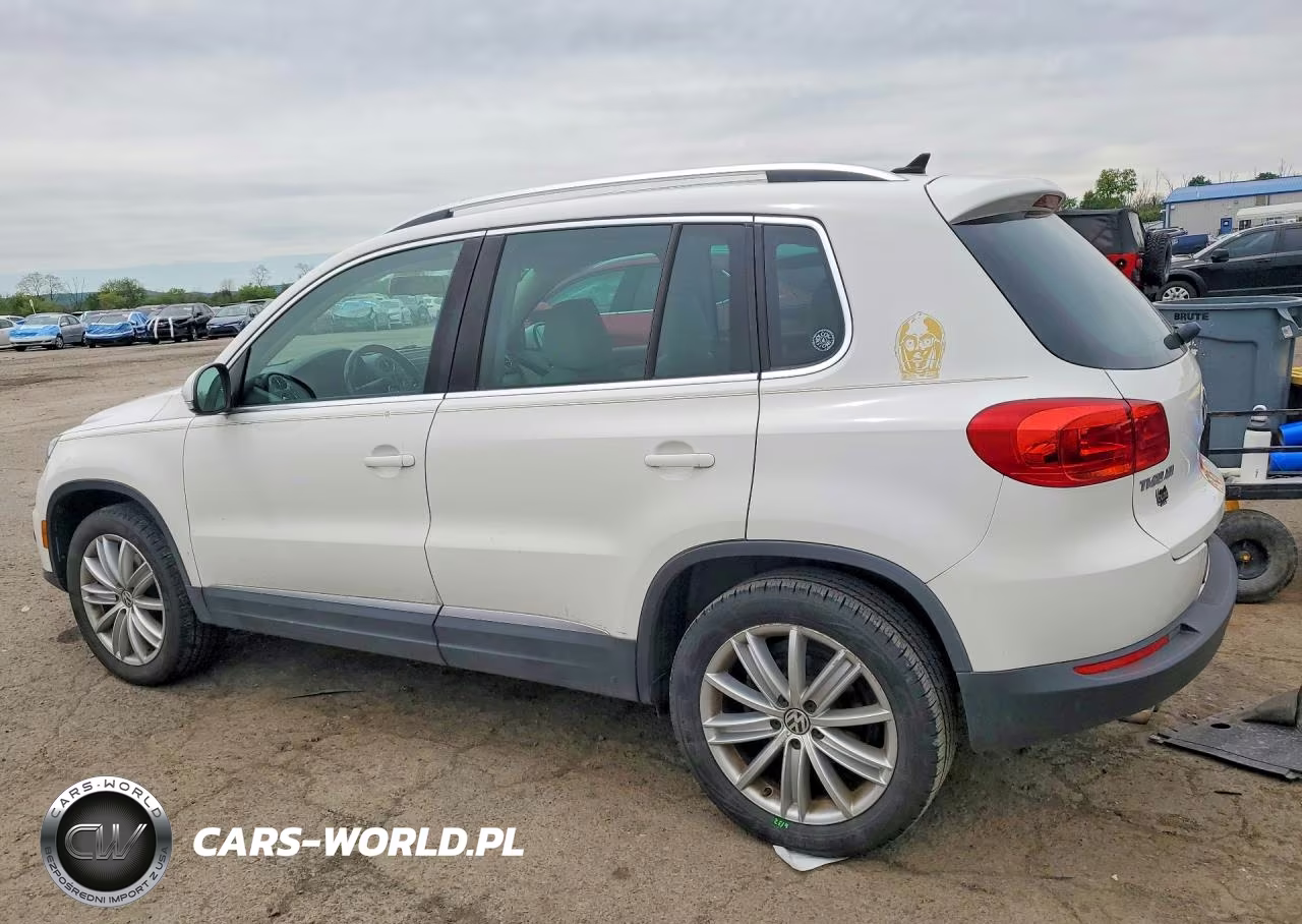 2013 Volkswagen Tiguan S VIN:WVGBV3AX9DW607830 - 2