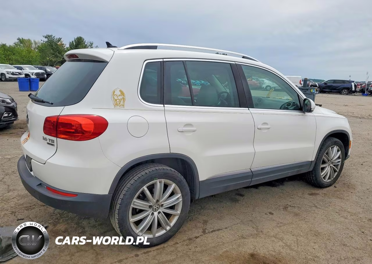 2013 Volkswagen Tiguan S VIN:WVGBV3AX9DW607830 - 3