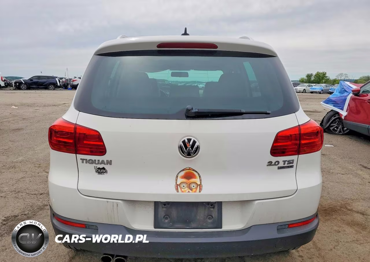 2013 Volkswagen Tiguan S VIN:WVGBV3AX9DW607830 - 6