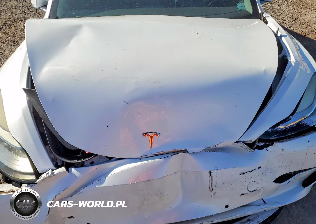2019 Tesla Model 3 VIN:5YJ3E1EA6KF428844 - 11