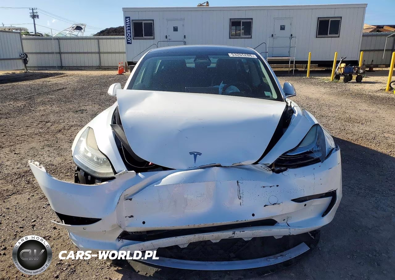 2019 Tesla Model 3 VIN:5YJ3E1EA6KF428844 - 5