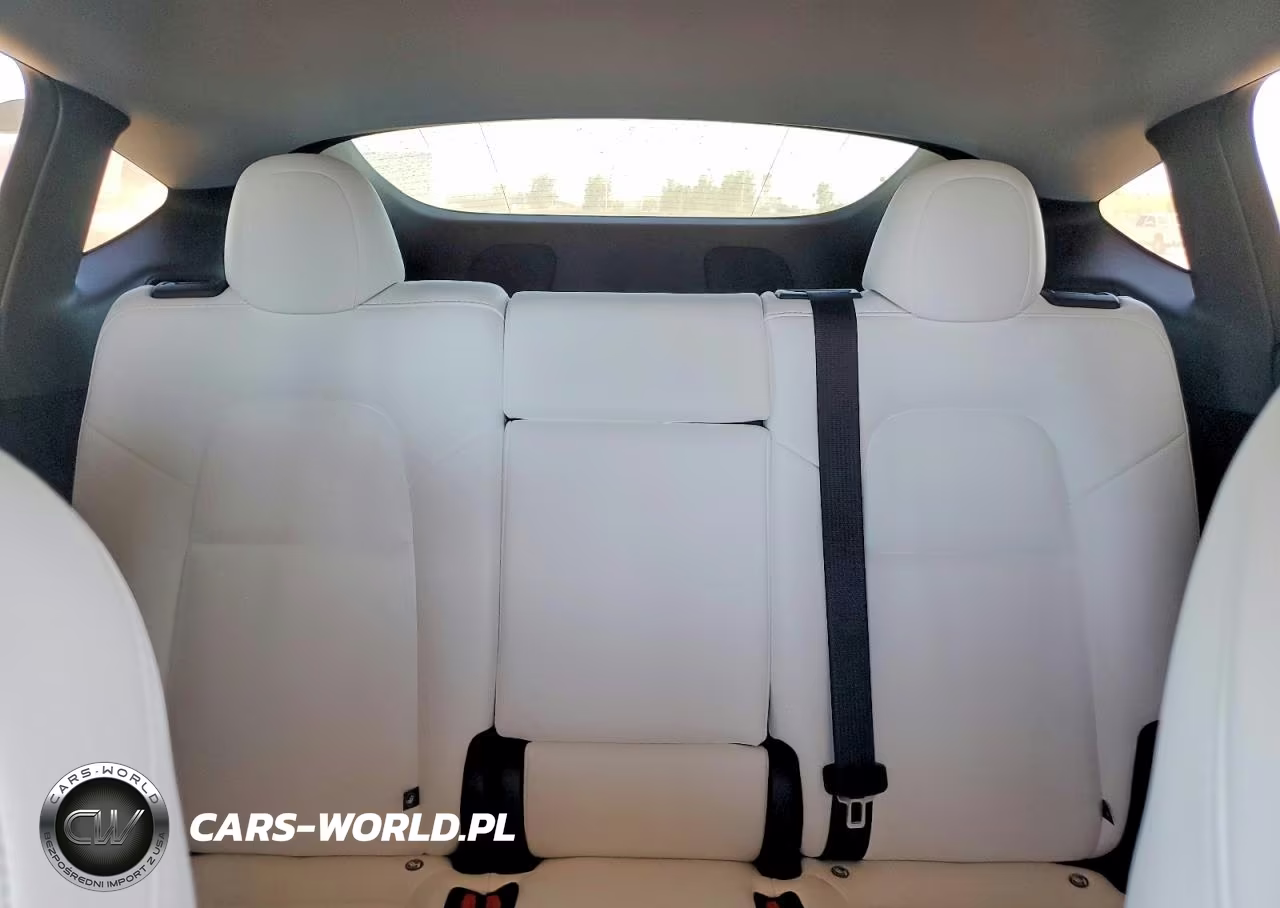 2025 Tesla Model Y VIN:7SAYGDED0SA377272 - 10