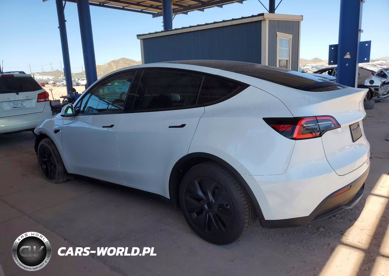 2025 Tesla Model Y VIN:7SAYGDED0SA377272 - 2