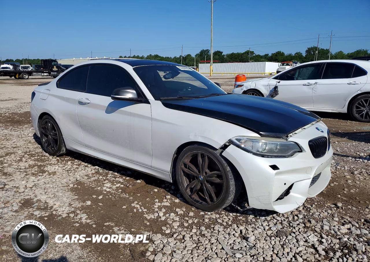 2015 BMW M235I VIN:WBA1J7C58FV253805 - 4