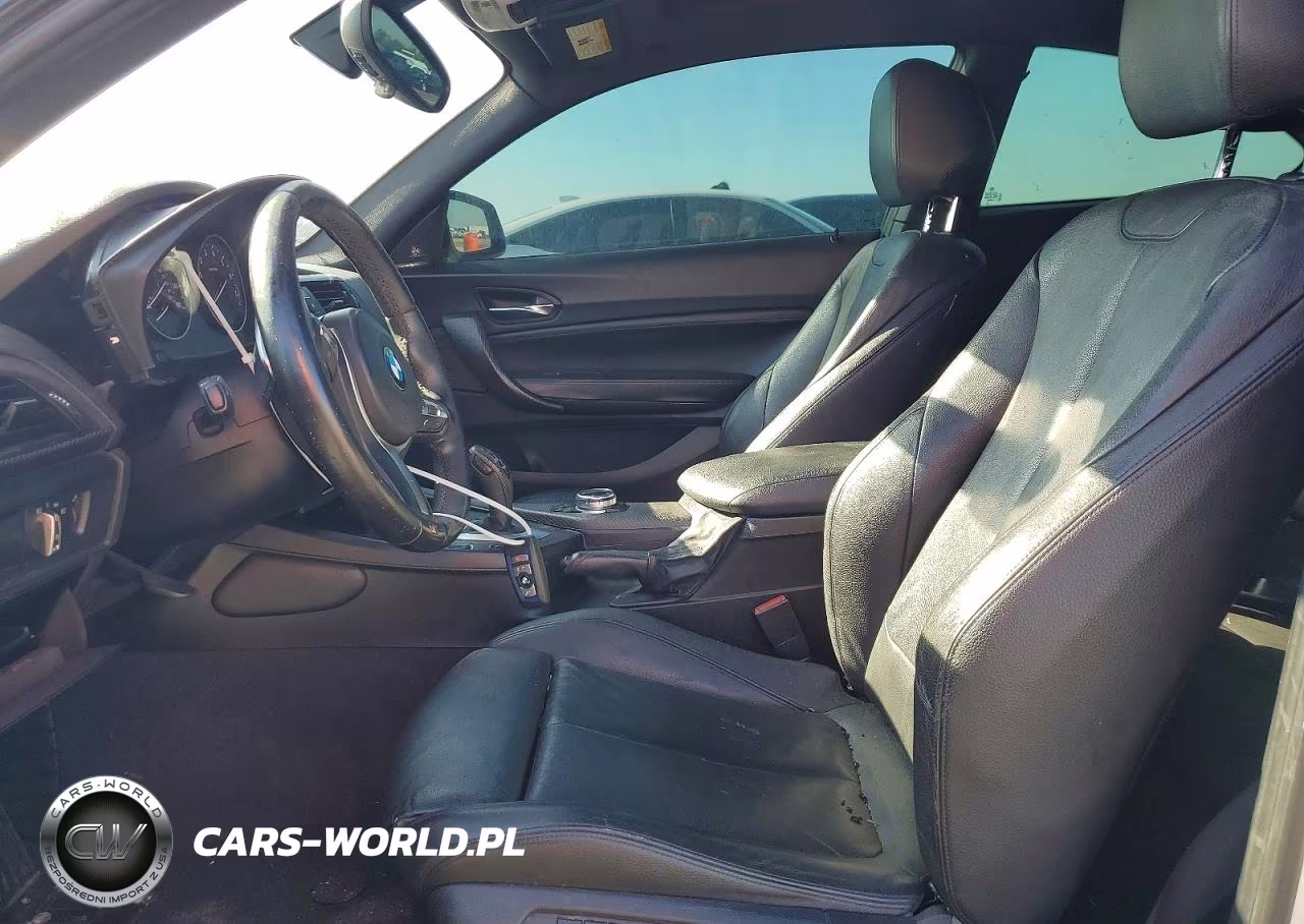 2015 BMW M235I VIN:WBA1J7C58FV253805 - 7