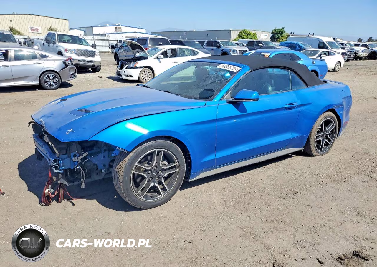 2019 Ford Mustang
