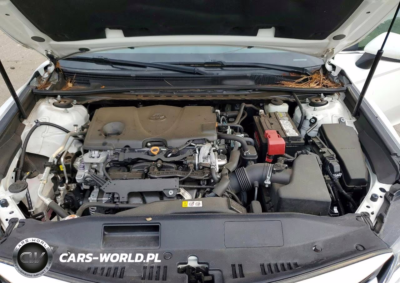 2020 Toyota Camry Le VIN:4T1C11AK2LU923864 - 11