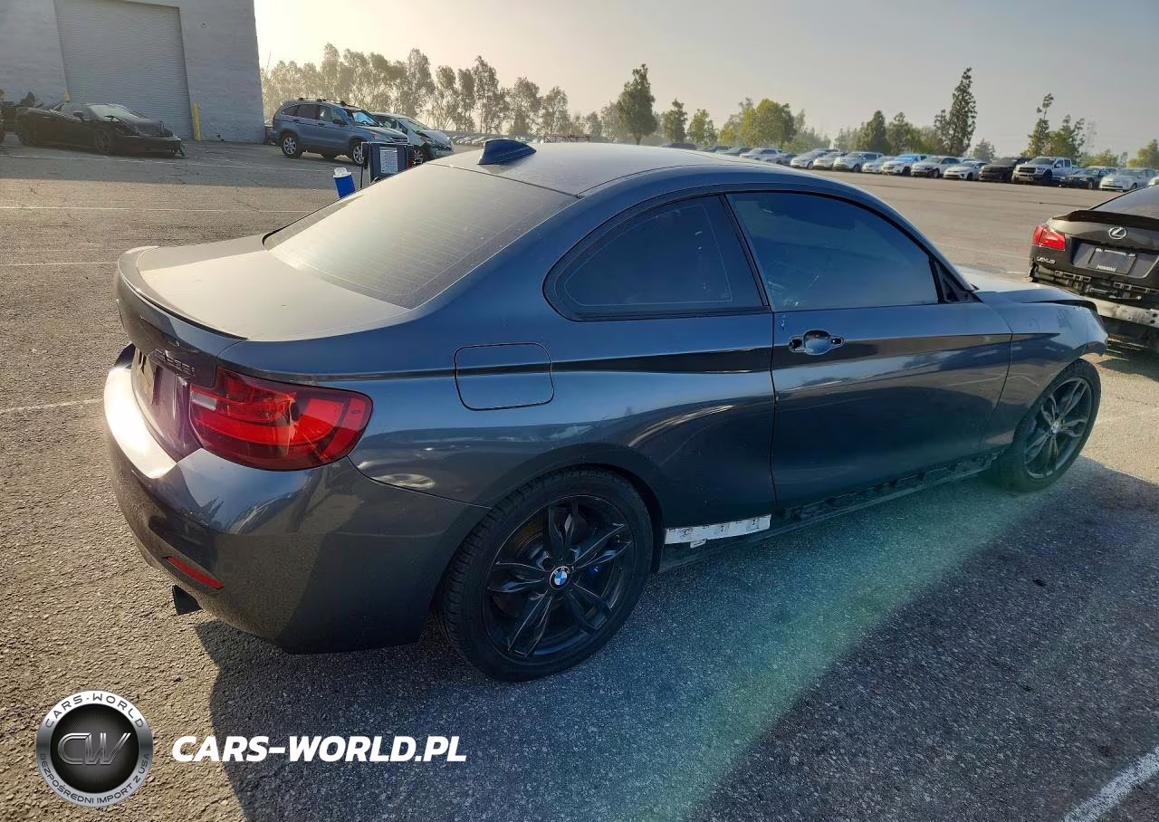 2016 BMW M235I VIN:WBA1J9C53GV696439 - 3