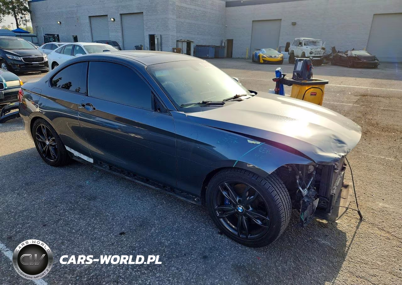 2016 BMW M235I VIN:WBA1J9C53GV696439 - 4