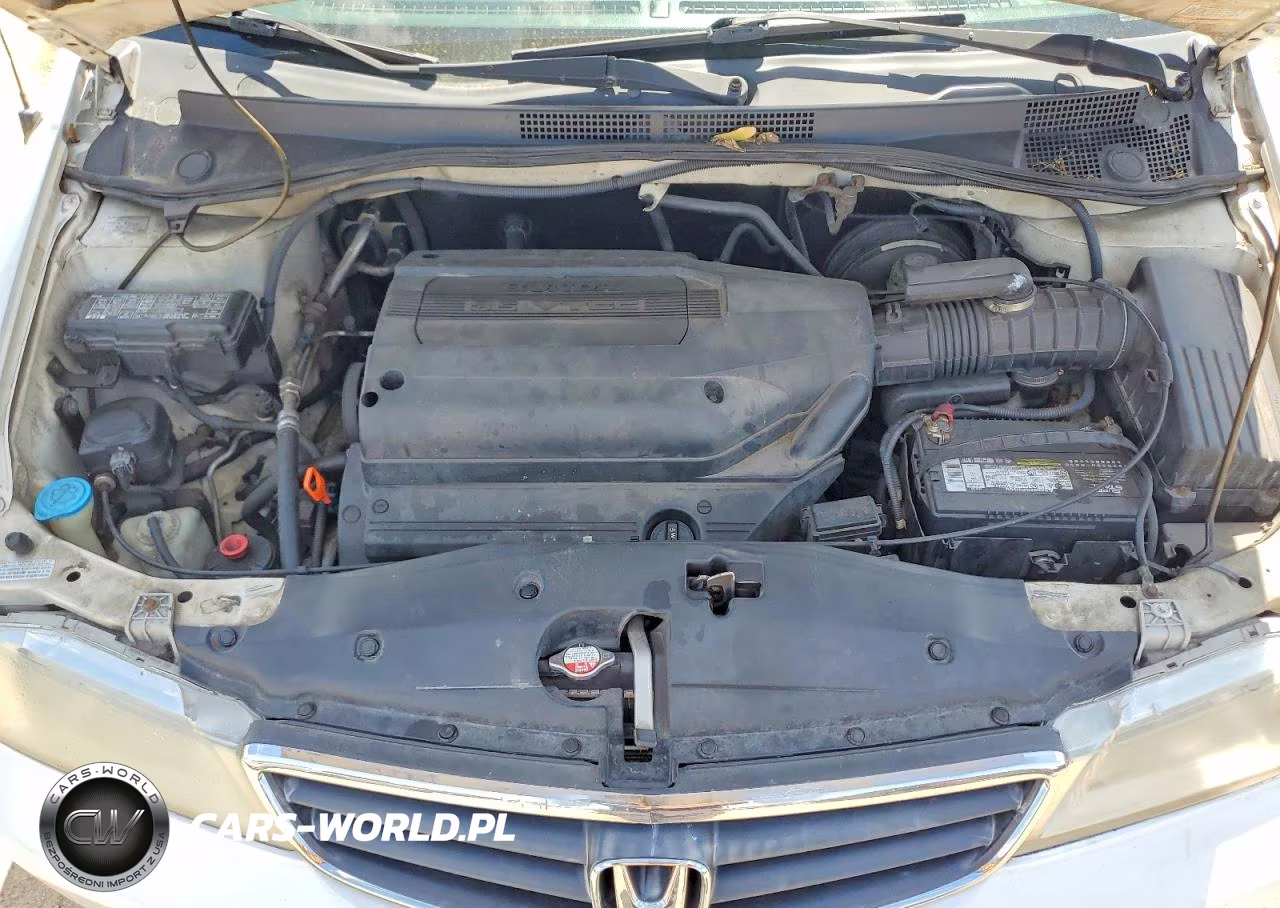 2004 Honda Odyssey Exl VIN:5FNRL18094B017931 - 12