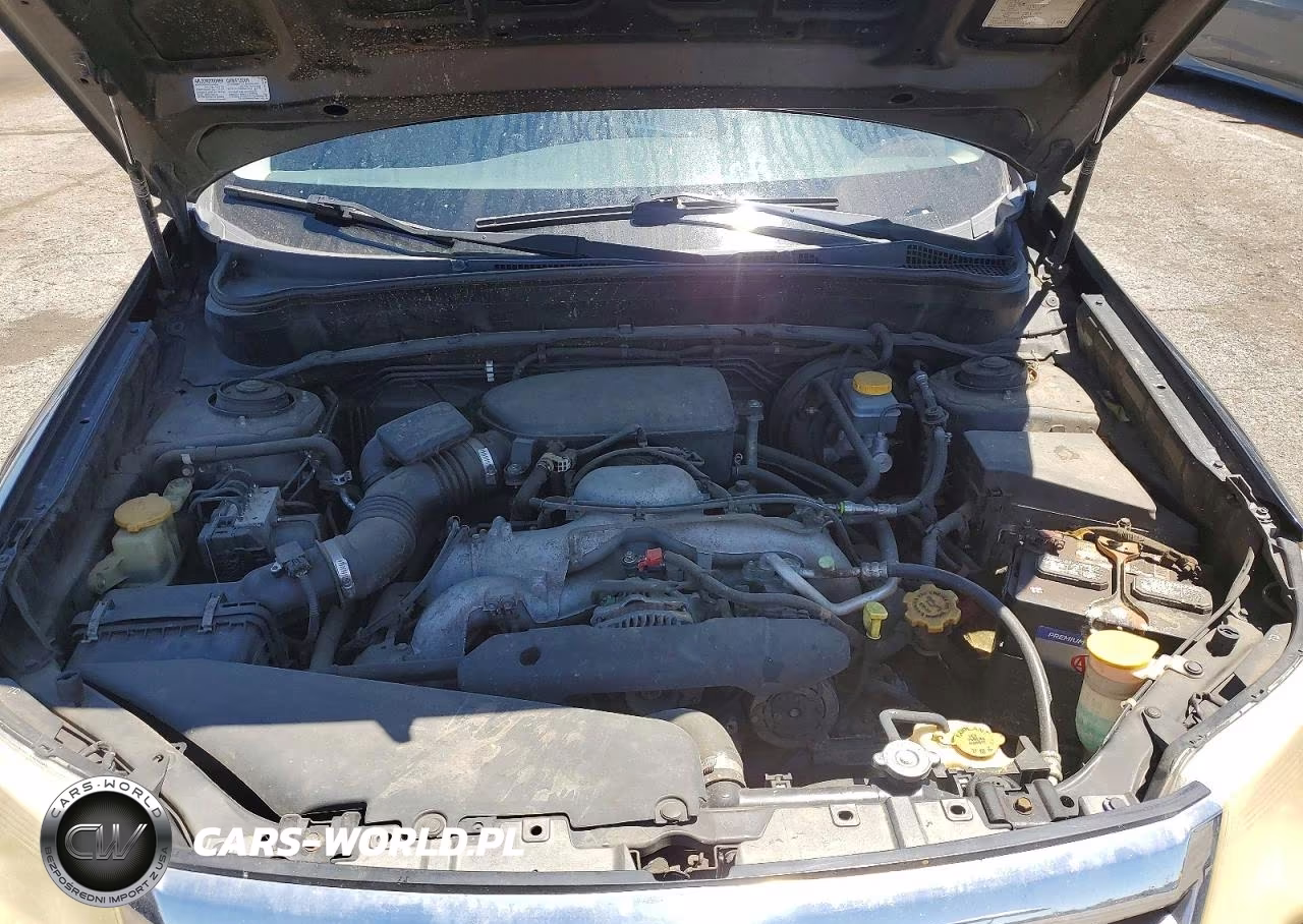 2010 Subaru Forester 2.5X Premium VIN:JF2SH6CC8AH738773 - 12