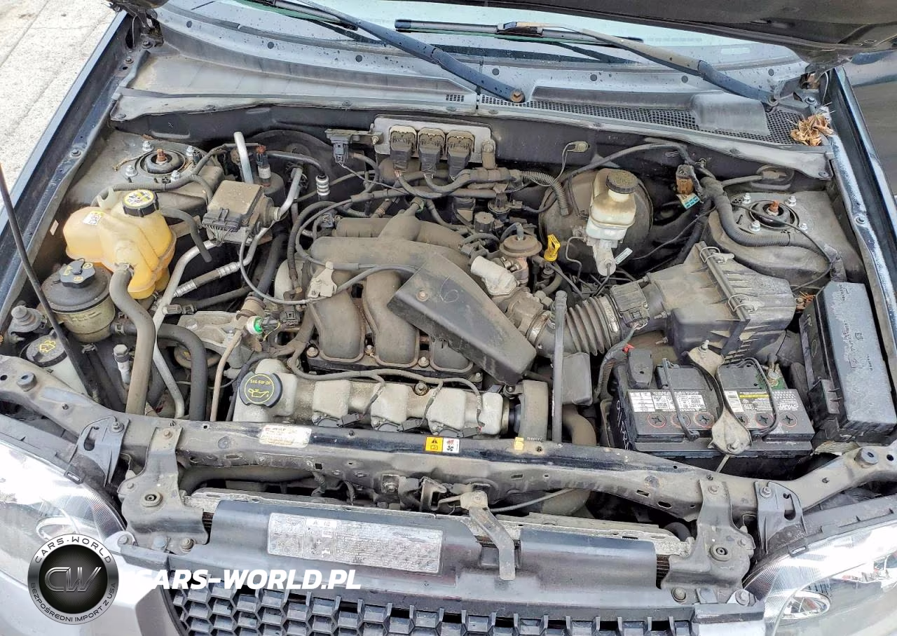 2005 Ford Escape Xlt VIN:1FMYU93195KA63962 - 12