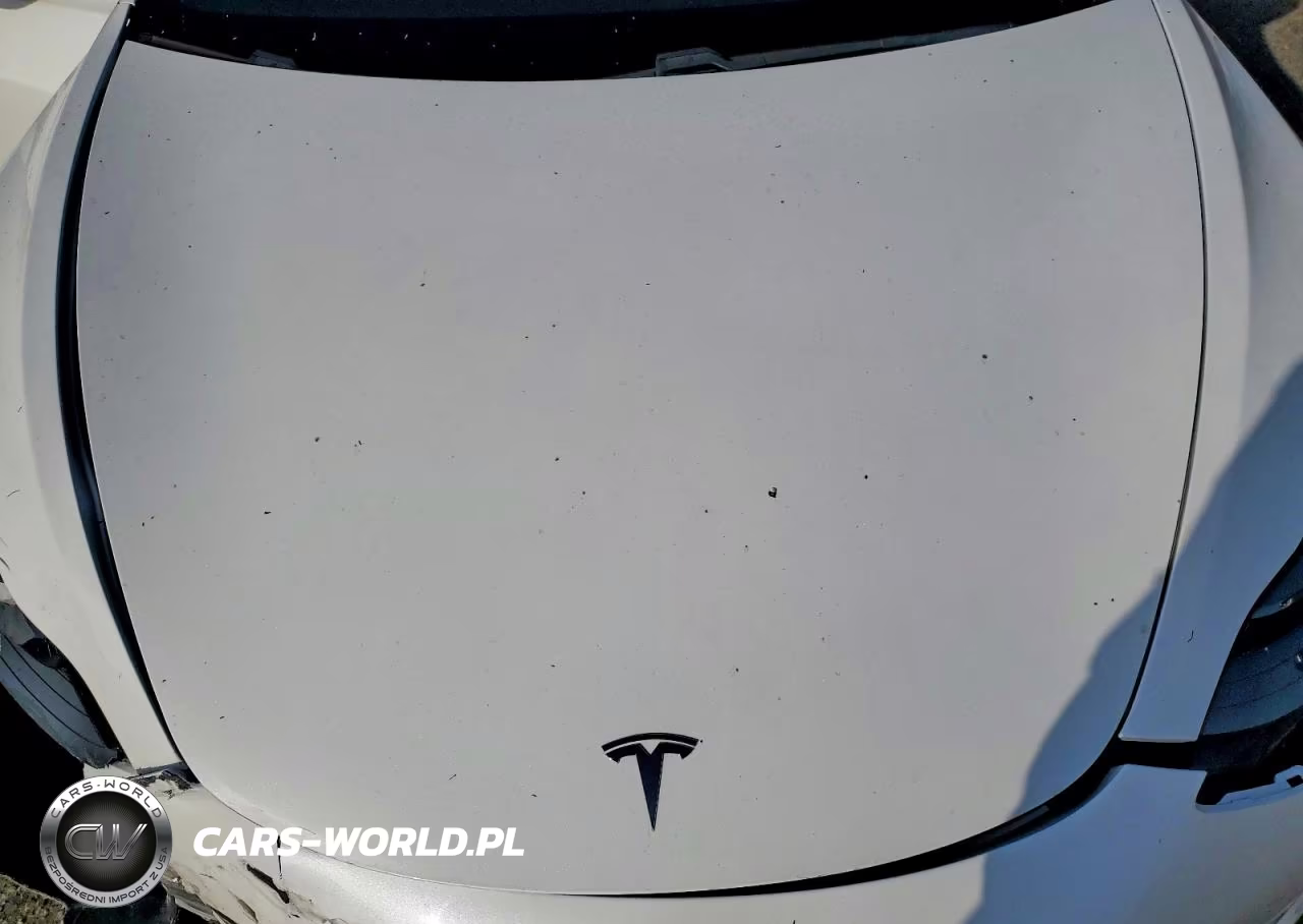 2021 Tesla Model 3 VIN:5YJ3E1EA3MF061467 - 11