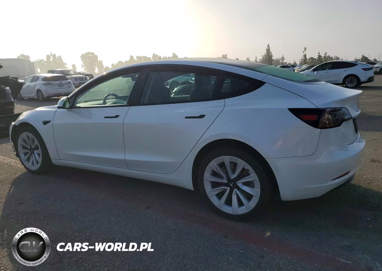 2021 Tesla Model 3 VIN:5YJ3E1EA3MF061467 - 2
